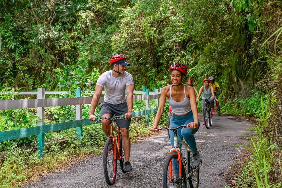 Blue Mountain Bicycle Tour