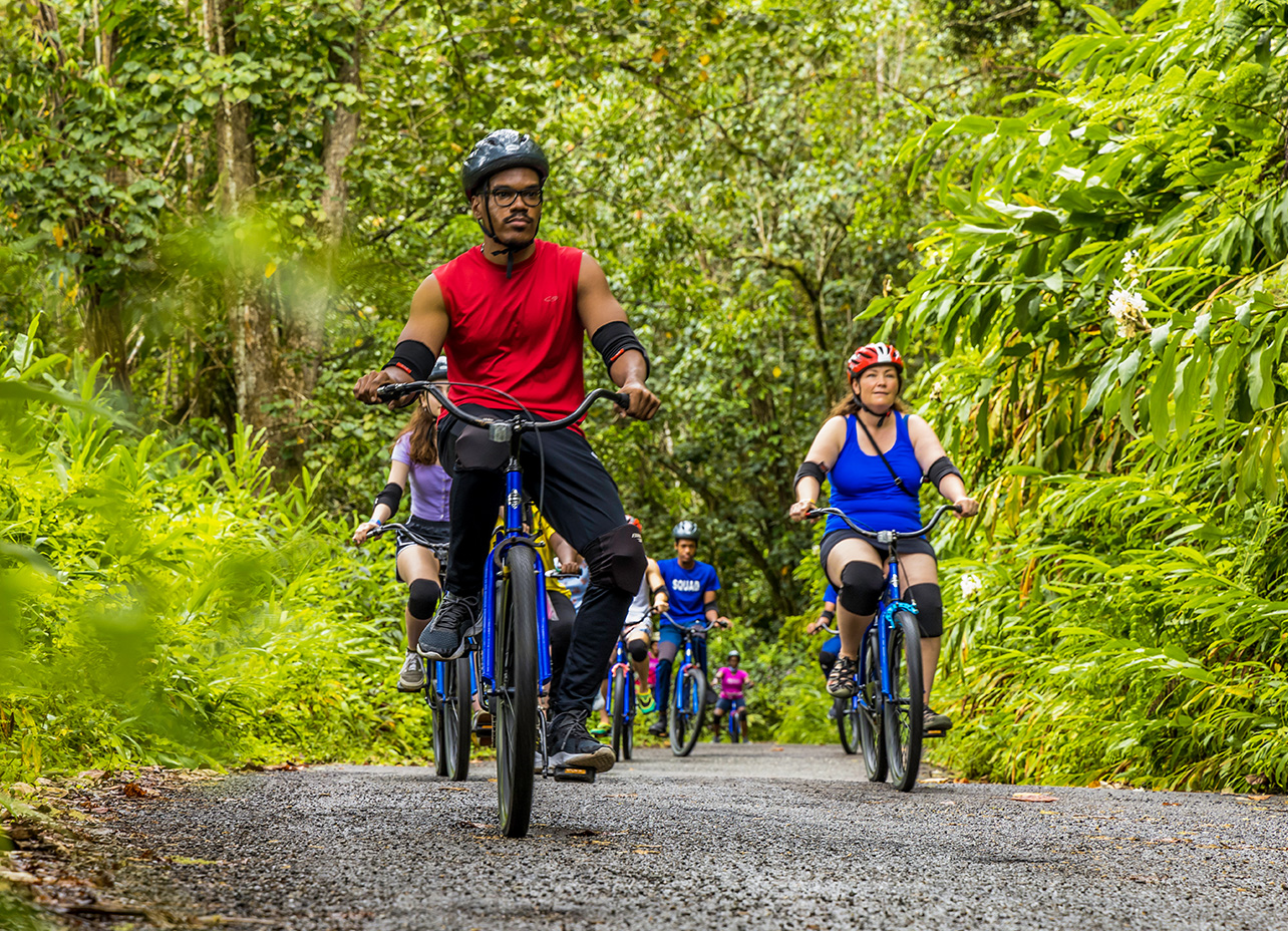 Blue Mountain Bicycle Tour